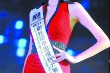 新疆吴宜桦(陈嘉桦吴慷仁)