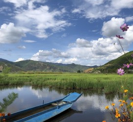 新疆旅游游记(旅游游记怎么写)