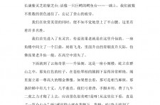 新疆旅游感想(张家界旅游感想)