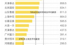 新疆关于伴游小丽中国足球的信息