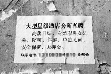 新疆珠海伴游雇用网(珠海游览社雇用信息)