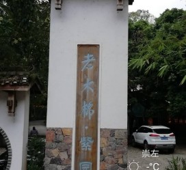 新疆关于伴游中国伴游你们伴得是什么游的信息