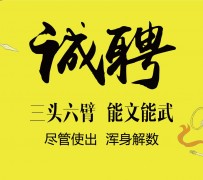 新疆私人伴游招聘 苏州杭州全国招聘酒店外围纯出女孩商务大圈纯出女孩商务包月女孩月入二十万
