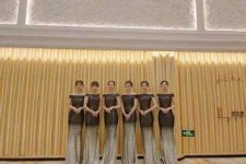 新疆杭州模特礼节兼职群(杭州兼职商务模特经纪人微信)