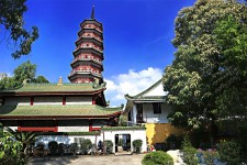新疆广州自由行(广州 自由行)