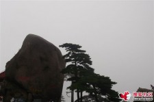 新疆上海伴游私家陪游雇用女模(上海伴游私家陪游雇用女模特)