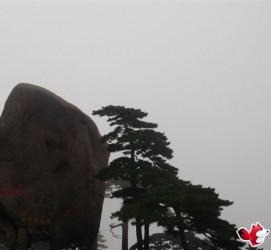 新疆上海伴游私家陪游雇用女模(上海伴游私家陪游雇用女模特)