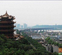 新疆武汉游玩攻略(武汉游玩攻略ppt)