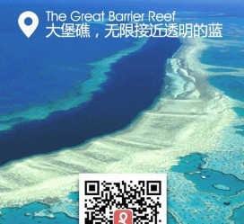 新疆中国250家旅行社结伴游新西兰(新西兰当地旅行社)