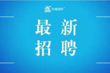 新疆镇江伴游雇用驾驶员(镇江驾驶员雇用苍生网)