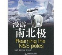 新疆游记攻略(ps西游记攻略)