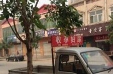 新疆上海伴游 用伴游造句大全(5