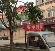 新疆上海伴游 用伴游造句大全(5