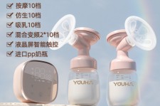 新疆奶模(奶模型)