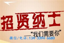 新疆酒店雇用伴游(酒店雇用伴游办事员)