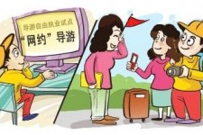 新疆伴游是什么