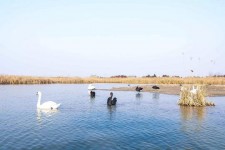 新疆南昌附近伴游小妹兼职(1534939978姐的微信德惠市)