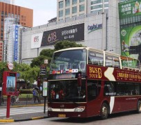 新疆上海私人伴游 上海过年怎么玩？这些“微游”线路了解下→