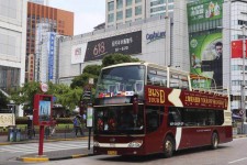 新疆上海私人伴游 上海过年怎么玩？这些“微游”线路了解下→