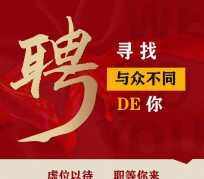 新疆商务伴游招聘 重庆星级酒店诚招司机服务员夜场保安