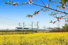 新疆高铁游(高铁游戏下载手机版)