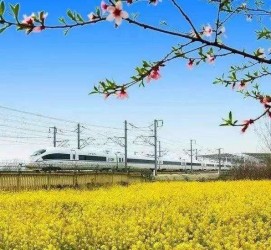 新疆高铁游(高铁游戏下载手机版)
