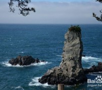 新疆旅游全攻略(上海旅游全攻略)