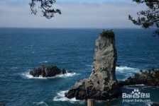新疆旅游全攻略(上海旅游全攻略)