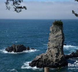 新疆旅游全攻略(上海旅游全攻略)