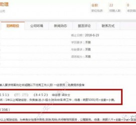 新疆游艇伴游雇用(游艇办事员雇用)
