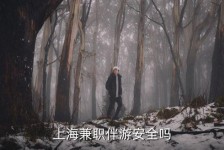 新疆上海私人伴游 上海伴游，上海兼职伴游安全吗