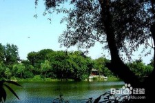 新疆西湖旅游攻略(上海到杭州西湖旅游攻略)