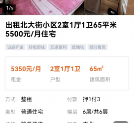 新疆私人伴游是什么 “过年租友”陷阱：骗财与色情服务