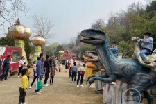 新疆中国伴游带你打卡网红南山竹海(南山竹海网上预约)