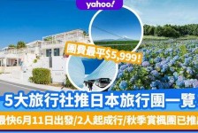 新疆旅游价格(旅游价格机制)