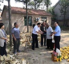 新疆关于宋叔带老伴游中国的信息