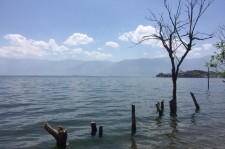 新疆洱海旅游攻略(洱海旅游攻略自由行)