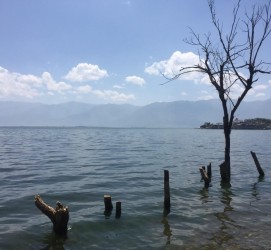 新疆洱海旅游攻略(洱海旅游攻略自由行)