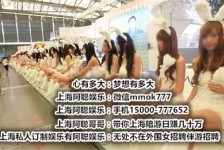 新疆雇用旅游男伴游(北京商务酒店雇用伴游)