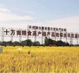 新疆关于成都商务伴游外围雇用的信息