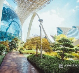 新疆杭州外围伴游雇用(杭州外围雇用经纪人)