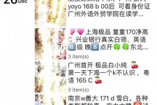 新疆外围伴游雇用圈套(雇用伴游什么样子的是实的)