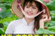 新疆日本关东伴游中国(日本关西旅行)