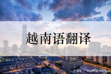 新疆越南翻译兼职伴游(在越南怎样找私人翻译)