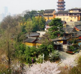 新疆南京周边游(南京周边游景点大全 自驾车旅游)