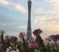 新疆广州旅游攻略(杭州到广州旅游攻略)