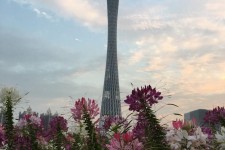 新疆广州旅游攻略(杭州到广州旅游攻略)