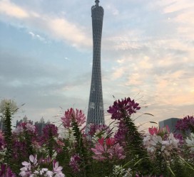 新疆广州旅游攻略(杭州到广州旅游攻略)