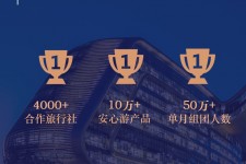新疆上海私人伴游 ​ “小而美”的新时代：2020年国内新跟团消费报告