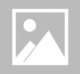 新疆最新导游伴游雇用信息(最新导游伴游雇用信息大全)